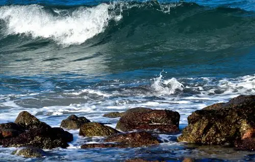摘一朵浪花送给你 - 美篇
