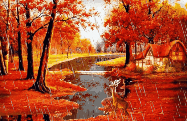 640_413gif 动态图 动图