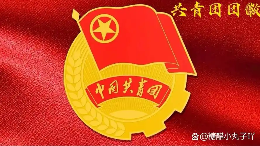 徽与中国"之〖共青团团徽〗 名称:中国共产主义青年团团徽 确定时间