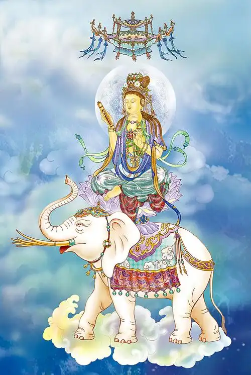 自在堂结缘南无大行普贤菩萨佛像画像--绢丝挂画