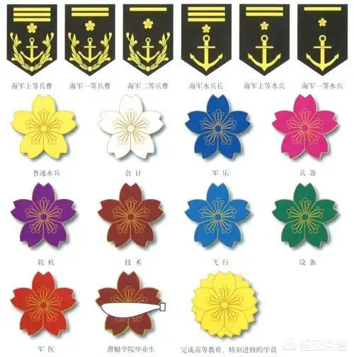 部队胸章日本军队有不同的领章如何判断其不同的兵种