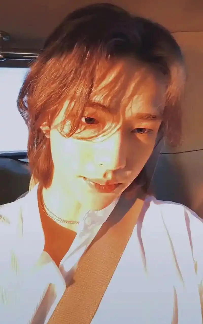 直播截图95阳光都偏爱你95 #straykids #侧脸  - 抖音