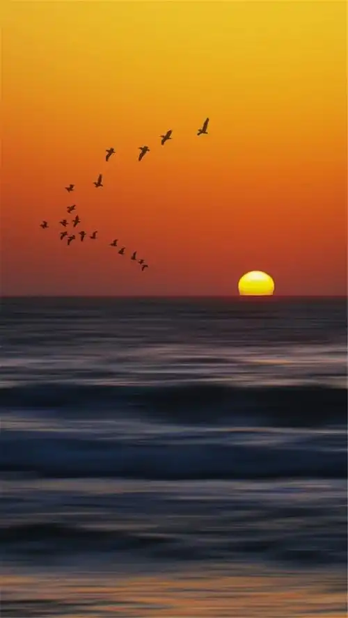 黄色简约黄昏落日风景h5背景素材