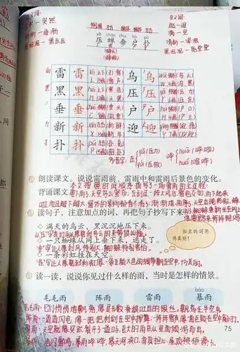 二年级语文下册第十六课《雷雨》随堂笔记和练习题,可打印