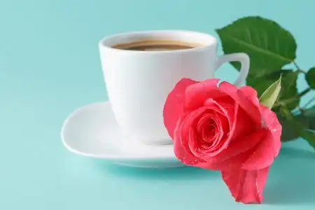 咖啡与玫瑰图片