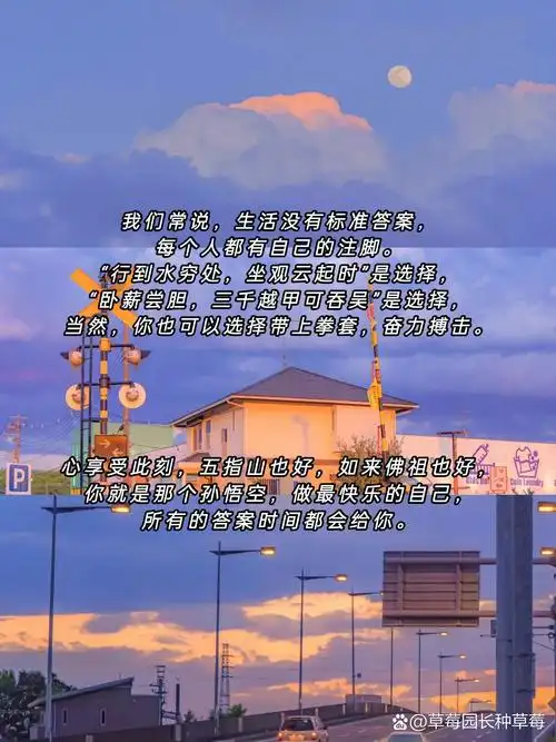 93热烈且自由的治愈系文案 78如果事与愿违,就相信上天一定另有