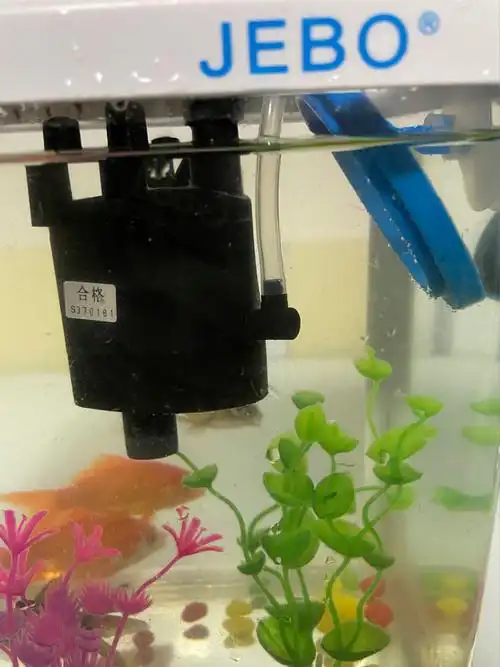 鱼缸,自带的三合一过滤,供氧总是不出氧,清理杂物会好一段时间,过滤器