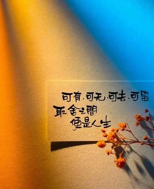 人生的意义就是没有意义