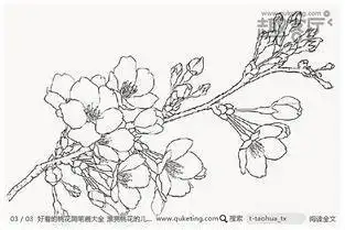 古风一棵桃花树简笔画儿童画