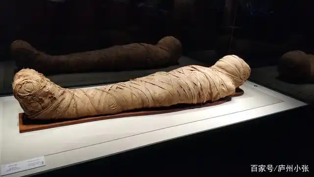 第一次看到埃及木乃伊,非常震撼