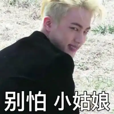 防弹少年团 防弹少年团表情包 金硕珍