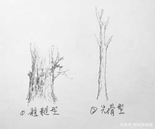 如何画素描风景?细分局部讲解——怎样画树?步骤分析及处理方式