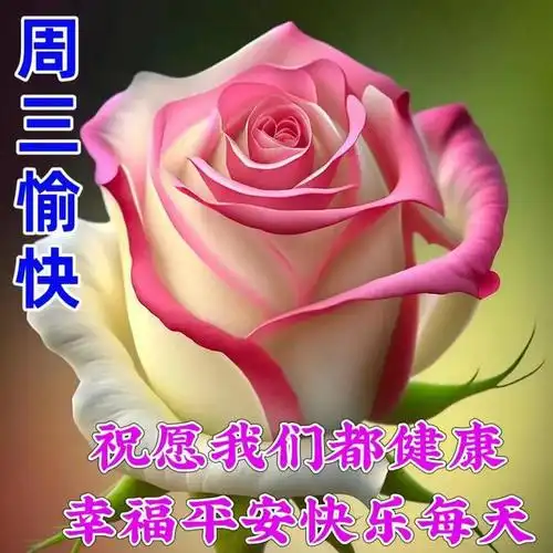 下午好图片带字祝福开心相伴快乐相随