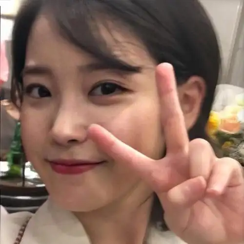 iu李知恩头像
