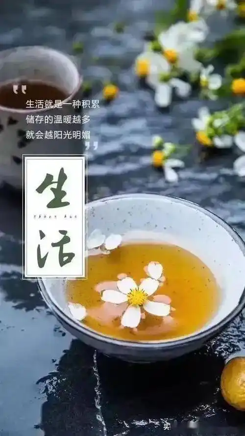 看淡,心静,积极的句子(看淡,心静,积极的句子图片)