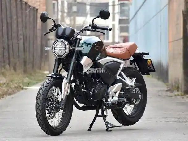 新大洲本田190复古摩托(发愁买不到本田复古摩托)(2)