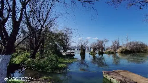 v30拍片有新意 - 荣耀v30系列玩机技巧 花粉俱乐部