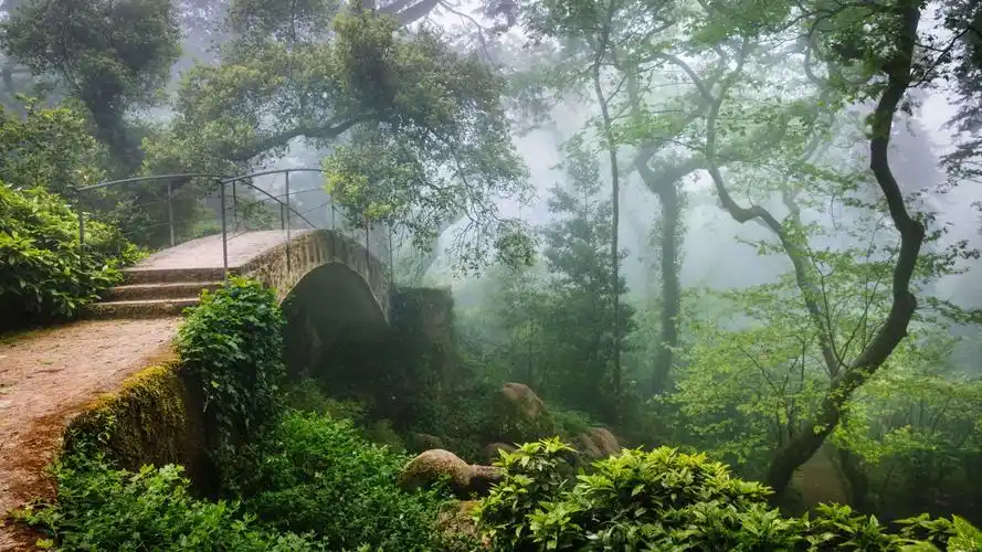 葡萄牙辛特拉梦幻仙境高清原图下载,葡萄牙辛特拉梦幻仙境,图片,壁纸