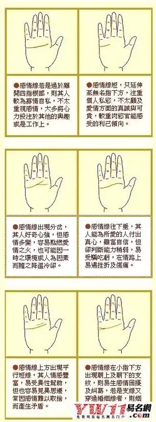 最全女人手相图解大全