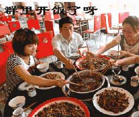 逗逼吃饭美食群里开饭了呀gif动图