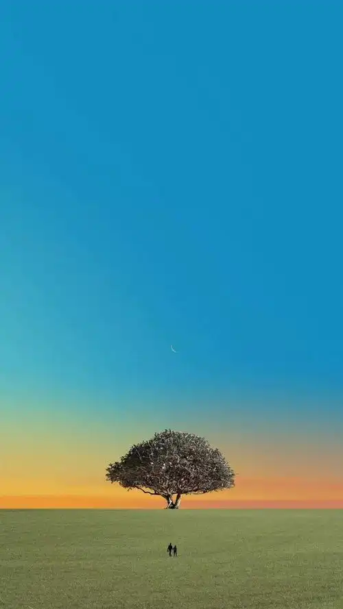 草原风光,风景-手机壁纸风景- 堆糖,美图壁纸兴趣社区风景#苹果6高清