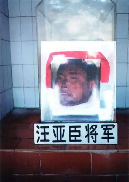 夺了回来,后面为了纪念英雄汪亚臣,更是直接把英雄的头颅收于展厅之中