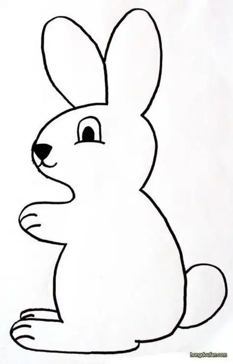 简笔画大白兔正面