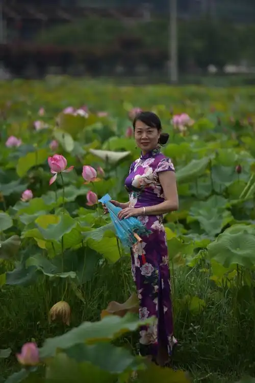 岁月静好,优雅到老 一一一莲池荷花旗袍秀