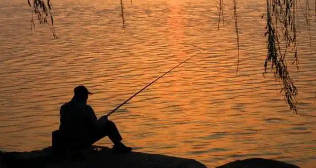 悠然自得具体情景描写