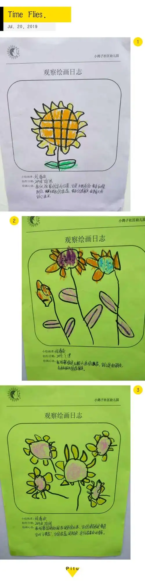 小鸽子社区园——绘画观察日记展主题活动