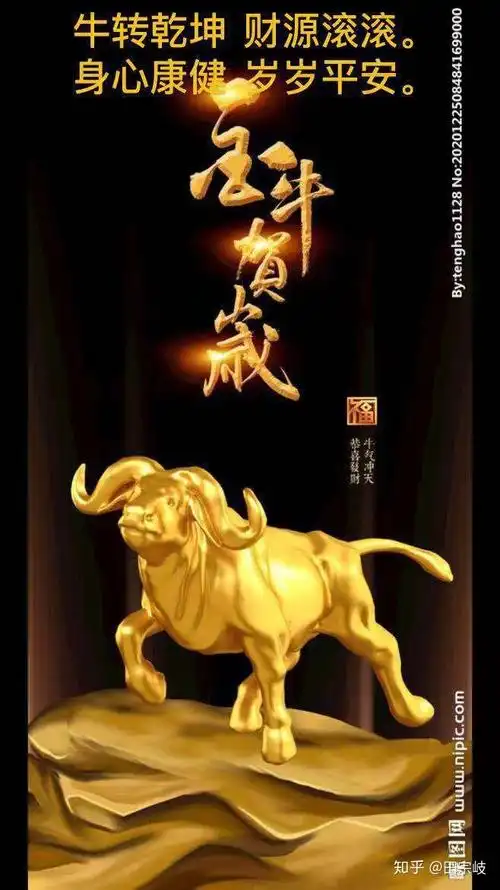 658_1171竖版 竖屏