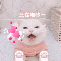 喵星人恶龙咆哮嗷