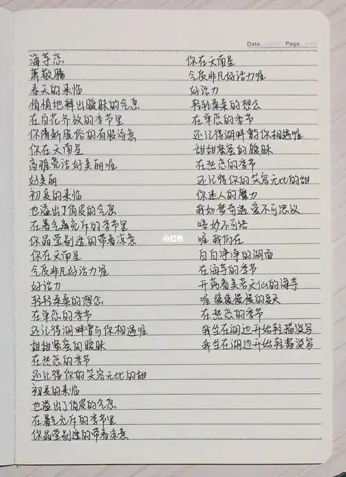 手写歌词海芋恋