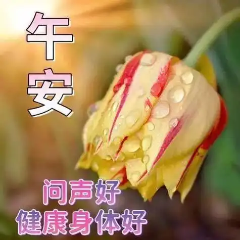 午安中午好下午好送祝福大全集送祝福精选