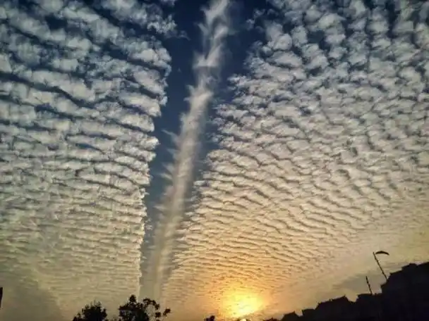 地震前的那些异常征兆