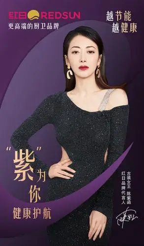 实力女神陈紫函代言红日厨卫开启健康厨卫新时代