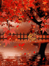 180_240gif 动态图 动图