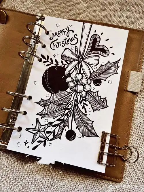 黑白手帐插画61圣诞冬青
