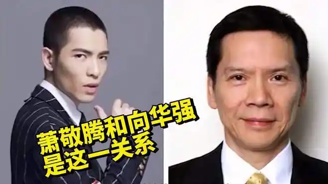 向华强花500万请萧敬腾唱歌?