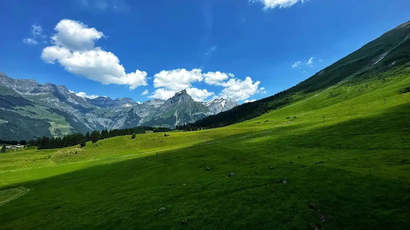 去了瑞士 才明白什么叫随手都是电脑桌面.#创作灵感 #瑞士  - 抖音