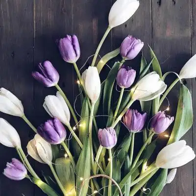 2019微信吉利好运头像风花入眼藏