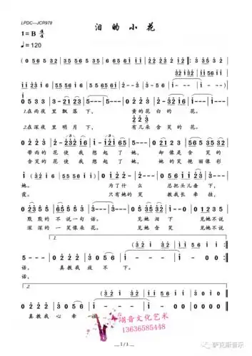 泪的小花优美动听深情感动萨克斯唯美音乐