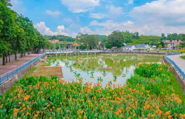 "稀客"来江门啦!欢迎"小精灵"~_中华_地区_自然保护区