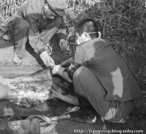 (原创)麻栗坡县政府,恳请保护好"烈士清洗台" - 老山魂 - shizheng_de
