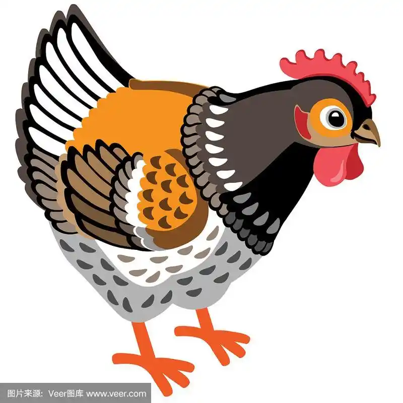 卡通母鸡