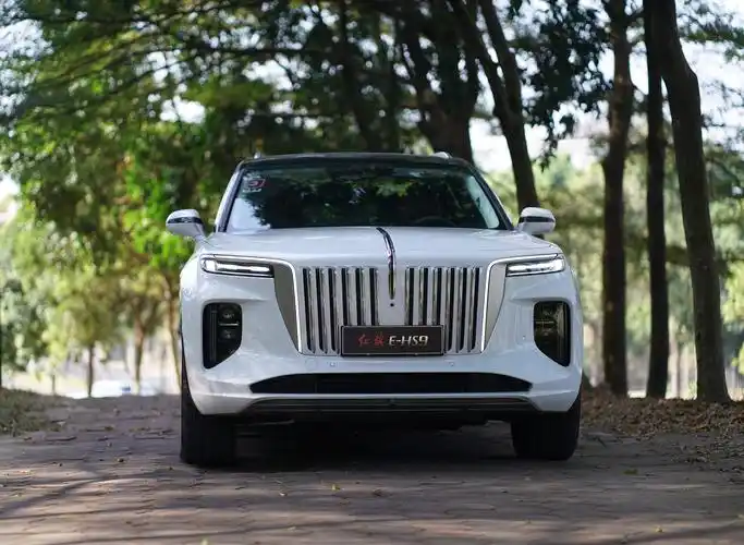 红旗在日本开体验店了,e-hs9卖61.74万,网友:觉得太便宜了