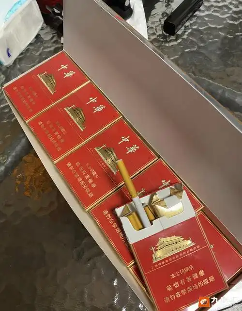 中华双中支相册 93483_94627