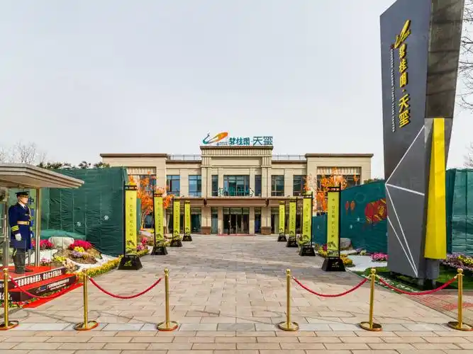 碧桂园天玺相册