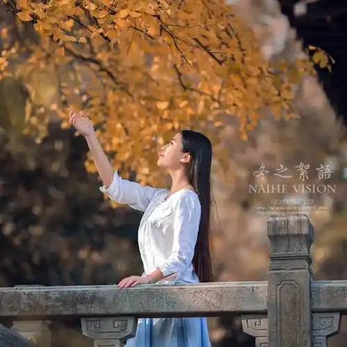 诗歌:淡然 清欢_绿色_时光_生命