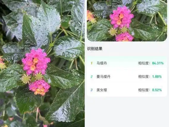 浙江上线生物多样性小程序:可拍照识别动植物,查看物种分布_开发_公众